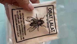 Obat Lalat Serbuk Racun Lalat Ampuh isi 80 gram Basmi Laler Kandang Ayam Semprot