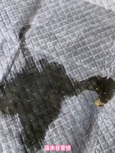 100pcs Pet Pee Pad Disposable Cat Dog Urine Pad Bamboo Charcoal Dog Puppy Training Mat Pet Diaper