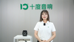 SHIDU S93UHF  Wireless Mini Portable Voice Amplifier Megaphone Booster with  Wireless Microphone Loudspeaker Speaker Rechargeable Amplifier for Teachers