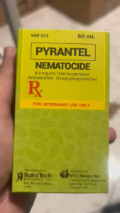 Nematocide Syrup Dewormer for Dogs & Cats (W/ Sticker & Dropper) pang purga