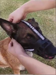 Soft Glue Dog Muzzle Drinkable with Reflective Strip: A Comprehensive Guide