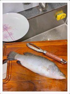 TORI HOME CARE™ 304 Stainless Steel Alat Buang Sisih Ikan Fish Peeler Seafood Peeler Brush Alat Pengupas Ikan