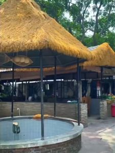 ส่งไวจากไทย2025The Newฟางปลอม15cm ฟางเทียม หญ้าเทียม ฟางประดิษฐ์พลาสติก ตกแต่งจุดชมวิวลานหลังคา ทนทาน สําหรับสวน ระเบียง/ม้วนหญ้าเทียม size:1*1m-1*20m