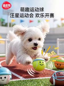 hipidog | Durable Biting Entertainment Toy Ball