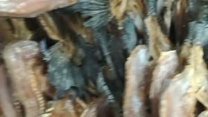 ปลาช่อน ปลาช่อนนาตากแห้ง 500กรัม ငါးရံ့ ငါးရိုးထို