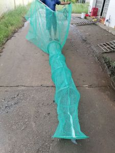 Dớn Bắt Cá Trung  ( ĐK 40cm 3 hôm )