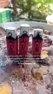 🌹ธูปท้าวเวสสุวรรณสีแดง 530แท่ง (เทพแห่งโชคลาภ)วัดจุฬามณีปลูกเสกปลูก! ธูปขอหวย ไอ้ไข่ ธูปหวย ธูปใบ้หวย พญานาค ผ้ายัน พระพิฆเนศ ธูป