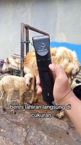 BAORUN PRO S1 MESIN ALAT CUKUR BULU HEWAN DOMBA KUCING ANJING KAMBING CAS BINATANG PELIHARAAN KABEL