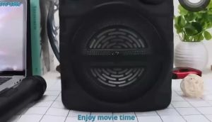 Speaker GTS-2065 Greatnice Bluetooth Speaker with Wireless Microphone