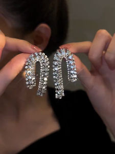 Fashionable Luxury Lightweight Elegant Diamond Tassel Earrings for Women Perfect Match for All Occasions New Arrival 2023