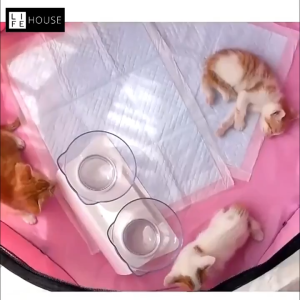 Cat Tent House Pet Tent for Cat House Indoor Pet House Cat Dog House Indoor Rumah Kucing Rumah Anjing Portable Cat House