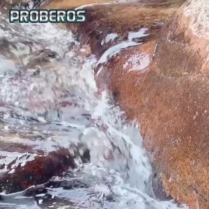 Mồi Câu Nổi Proberos Mồi Giả Cá Nhỏ Mồi Cứng Câu Cá Biển Nước Mặn Mồi Câu Cá Mú 32g 50g 75g Dụng Cụ Câu Xa Cho Cá Mú Câu Biển Câu Sông.