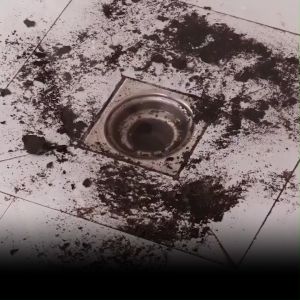 2 Meters Hand Kitchen Sink Cleaning Hook Sewer Dredging Device Spring Pipe Hair Dredging Tool Home Supplies