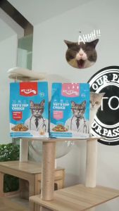 Makanan Kucing Kering Mr.Vet: Pilihan Terbaik untuk Kesehatan Kucing Anda