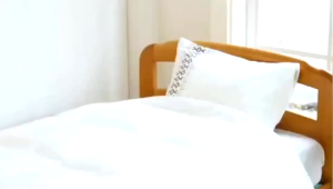 Jepun jenama semburan repellent serangga semburan serangga katil kutu semburan membunuh katil kutu semburan