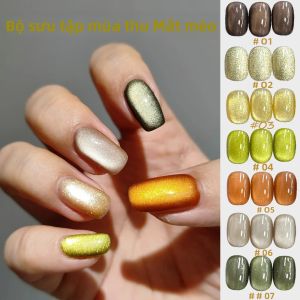 1 Hộp Sơn Móng Tay Gel Mắt Mèo Hạt Pha Lê Thu Đông TC Golden Autumn Amber 10ml Bộ Sưu Tập Thời Trang Dành Cho Móng Thu Đông