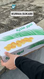 KURMA RAJA SUKARI AL QASSIM ASLI DUS BASAH GROSIR PREMIUM 3 KG