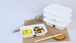 [25 PCS] Bagasse Lunch Box Sekat 2 + Tutup Kotak Makanan Warna Putih Bungkus Nasi Kotak Takeway Ayam Geprek Nasi Goreng Kemasan Makanan Korea Jepang Ramah Lingkungan