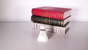 Hộp 3 Quả Cầu Lông Lông Vũ Lông Ngỗng Tự Nhiên Chính Hãng Amalife Kèm Hộp – Nhẹ Bền Chắc Chắn Phù Hợp Mọi Người