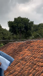 Kemeja Polos Pendek Anak Laki-laki