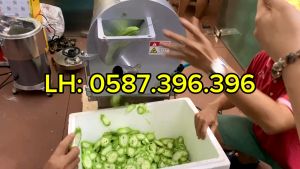 Máy thái rau củ công nghiệp thái lát thái sợi thái hạt lựu năng suất 500kg/h