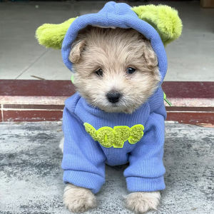 Dog Clothes Autumn and Winter Trends Handsome Schnauzer Bichon Puppy Small Size Dogs Pet Cat Warm Hoodie