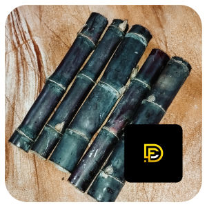 Batang tebu hitam tebu wulung isi 5 btg bisa bibit bisa konsumsi