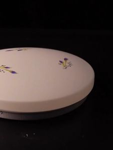 Replaceable LED Light Bulb AC220V White Light/Tricolor Dimmable High Bright Long Life Energy Saving 80%  No Punching Easy to Install LED Light Source LED For Ceiling Light