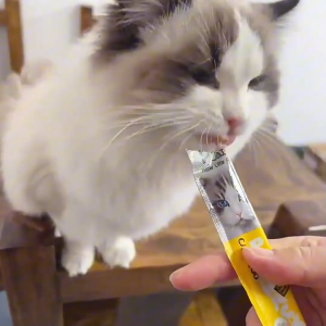 Cat Treat Sticks | Nutritious Wet Food Snacks for Cats | Wholesale Pet Cat Snacks (15g/pkt)