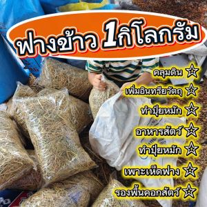 ฟางข้าวอัดก้อนแบ่ง1โลยกก้อน