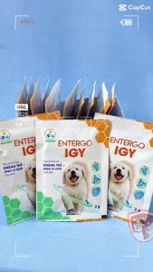 Bổ sung kháng thể và men vi sinh Entergo IGY - BOSSEN Entergo IGY - Gói 2g - Hộp 10 gói