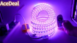 [Support Lalamove Bulk Order] 5050 RGB LED Strip Light (With Remote Control)Outdoor Waterproof RGB Strip Uesd For Room Home Decoration Cover Ceiling Lighting(No APP Control)