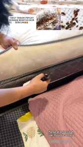 300ML Bed Bug Dust Mite Removal Spray Home Bedroom Use Kill Bacterial Mites Control 云南本草青花椒除螨喷雾剂