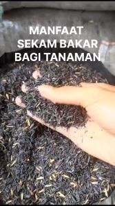 Pupuk Sekam Bakar Media Tanam Tanaman Hias Anggrek Mawar Arang Hitam Media Semai Bibir Bunga Premiuim