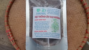 100g hạt giống cây rau mương - tâm đức