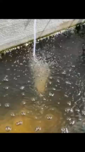 มีสต็อกพร้อมส่งจากไทย10Wปั๊มลมพลังงานแสงอาทิตย์ ปั๊มออกซิเจนพลังงานแสงอาทิตย์ อุปกรณ์ตู้ปลา【COD】