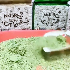 CATSME Natutal Tofu - Cát đậu nành cho mèo khử mùi vón cục cực tốt siêu tiết kiệm