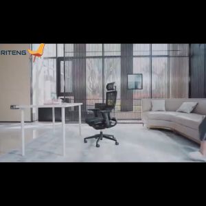 SG🥇Ready Stock🥇🥇 Premium Ergonomic Computer Chair with Intelligent Lumbar Support 233AQW Series - Free Installation🛠️ Free Delivery🚚