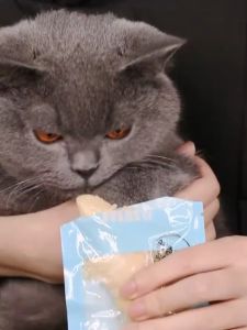 [Gói 40g] Ức gà hấp MASTI ăn liền cho chó mèo - Bổ sung dinh dưỡng cho thú cưng