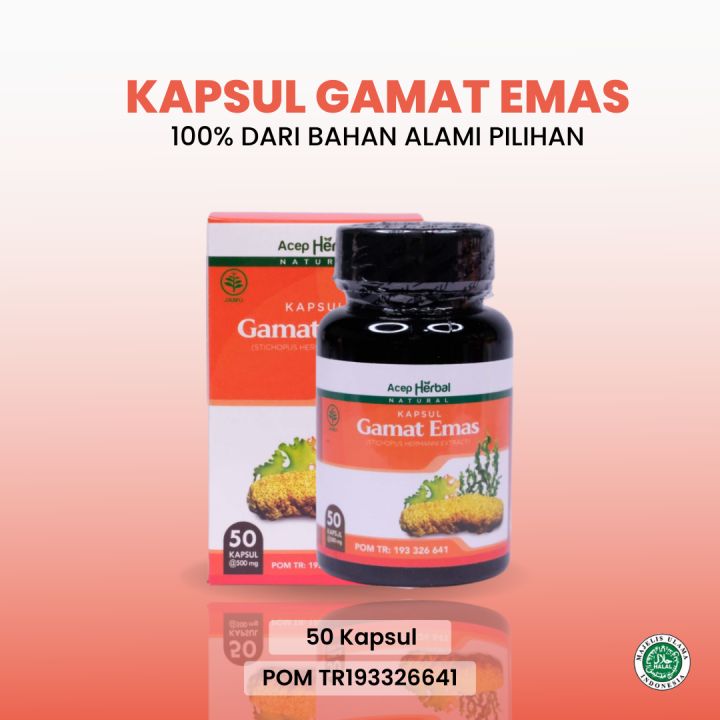 Obat Patah Tulang, Patah Tulang Kaki, Tulang Retak, Patah Tulang Tangan, Penyambung Tulang Patah, Pemulihan Patah Tulang, Tulang Rapuh, Tulang Bergeser, Patah Tulang Dan Retak Akibat Jatuh Kecelakaan, Tulang Remuk Dengan Kapsul Gamat Emas