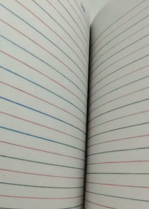 Merit My Future 10pcs COMPO/WRITING Notebook for Students - Saddle Stitch Bound - 80 Pages - 45 GSM Paper - Space for Date - Parents and Teachers Signature - Red Margin Line - Assorted Colors