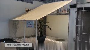 【COD จัดส่งที่รวดเร็ว】ช้ได้ 20 ปี ผ้าใบบังแดด HDPE กันสาด กันฝน กันแดด 95% แข็งแรงทนทาน พร้อมส่งฟรีทั่วไทย 21 ขนาด - สีน้ำตาล/เขียว/เหลือง ของแท้100%