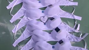 3 Áo Ngực Hình Học Sinh Không Mút Không Gọng Freeship Cotton Thấm Hút Nội Y Marketonline68 AGN