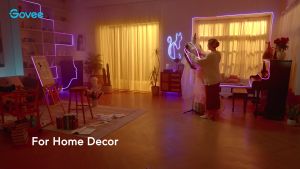 goSmart Asia Govee Neon Rope Light 2 3M/5M with Music Sync Matter DIY Lighting Mode LED Light Strip RGB Light Gaming Light