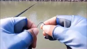 Bộ Mồi Câu Mềm GOBAIT 70 Chiếc Kiểu Cá Đuôi Chữ V Mô Phỏng Cá 7cm Kèm Móc Câu Lệch Khóa Lò Xo Hộp Dụng Cụ Câu Cá Mồi Câu Kiểu Swimbait Dành Cho Biển Sông Hồ