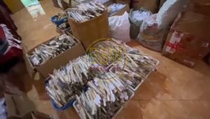 ( isi 50 pcs ) Souvenir KIPAS BATIK 21CM kemas PLASTIK Kartu Ucapan Suvenir Murah Makassar