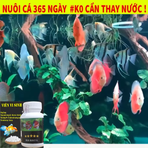 Men Vi Sinh Bể Cá – Vi Sinh Làm Trong Nước Hồ Cá Phân Hủy Chất Hữu Cơ Hỗ Trợ Xử Lý Amoniac Nitrit Khử Mùi Tanh