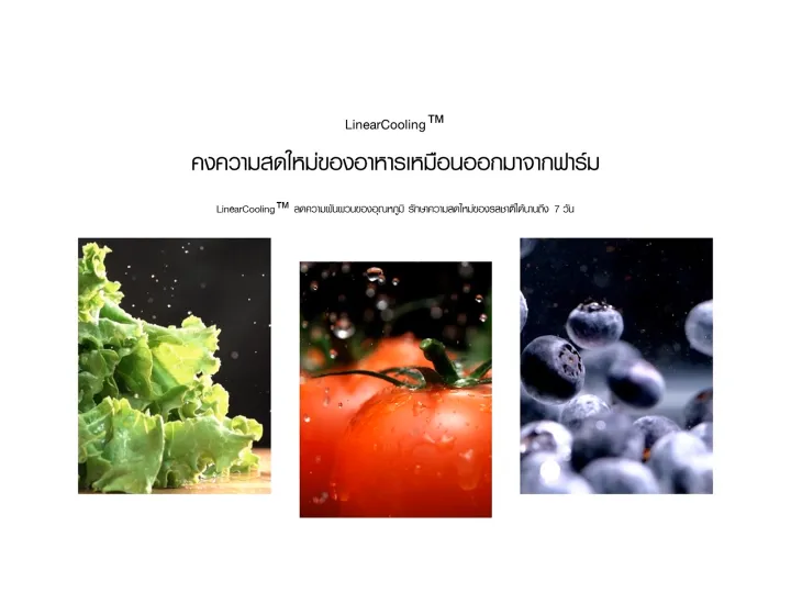 LG GC-L257SFZW ตู้เย็น Feature Image