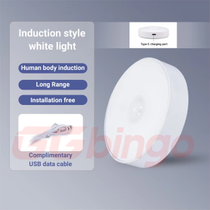 Type-C Rechargeable Motion Sensor Night Light LED Lamp for Kitchen Bedroom Stairs Hallway Cabinet Closet Wardrobe