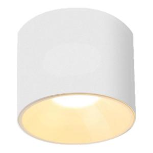 WANLIYANG | LED Long Cylinder Light No Glare Light Ceiling Light